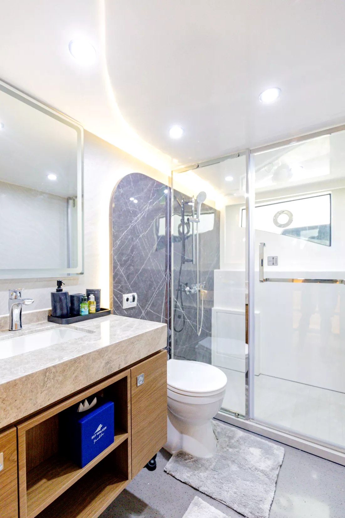 Sky Walker Reno charter in Dubai, photo 2
